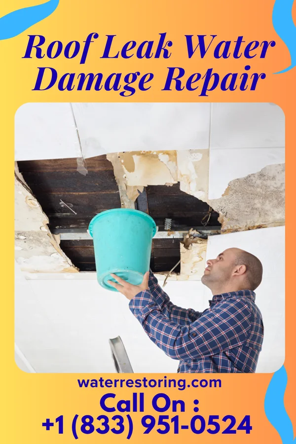 Roof Leak Water Damage Repair in Albany, CA
